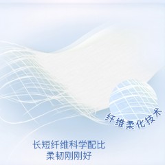 心相印  商用（蓝色）箱装擦手纸（20包）CS001（箱装）