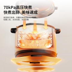 先锋 电压力锅  1000W  QT-X1-50-B-D