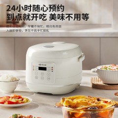 先锋  智能电饭煲 2L  FD204-2405B