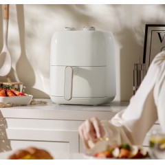 美菱 电烤炉(空气炸锅)  5L  MZG-LC45300