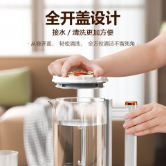 长虹 液体加热器(养生壶) 0.5L  YSH-06X01