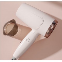 扬子 电吹风 1000W  1260