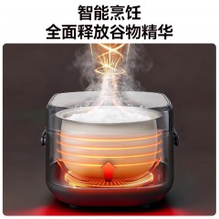 膳魔师 电饭煲（智能微电脑电饭锅）曜石黑 860W EHA-4144E