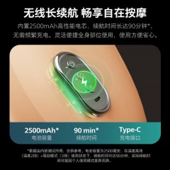 飞利浦 腰部按摩仪 24W PPM5102B