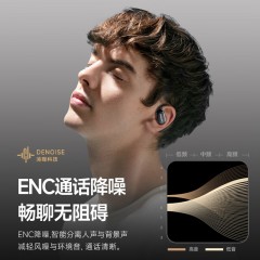 飞利浦 骨传导概念真无线挂耳式蓝牙耳机  TAT5739