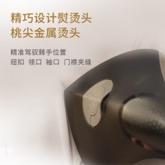 飞利浦  挂烫机 2000W STE3170/80