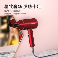 西屋 负离子电吹风 H108