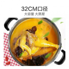 苏泊尔（SUPOR）电蒸锅 ZN32YK15