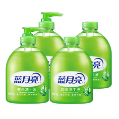 蓝月亮 10001483 洗手液组合（抑菌洗手液500g*2+抑菌洗手液瓶补500g*2）