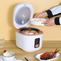 联创 电饭煲 DF-BL6051M