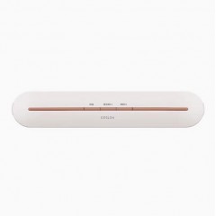 德世朗（DESLON） 真空封口机 DDQ-QT819