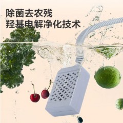 德世朗（DESLON） 厨房餐具果蔬消毒机 DDQ-QT808