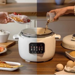 德世朗（DESLON） 电压力锅 3L 3.7kg DDQ-FB513