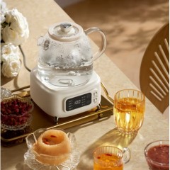 德世朗（DESLON） 花茶壶（养生壶） 1.0L DDQ-SH231