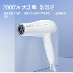 飞科 电吹风机 2000W  FH6231黑色/FH6232白色