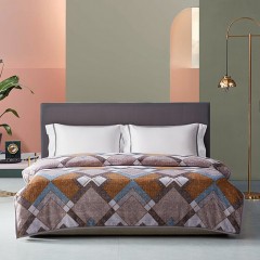 博洋家纺 卢狄丝柔毯 （150*200cm/900g）