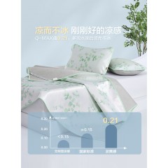 博洋家纺 冰丝席二件套-清风煮雨  （席*1：90*200cm  枕套*1：48*74cm）