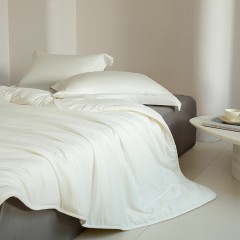 博洋家纺 A类舒柔大豆四季被 （220*240cm）