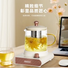 艾贝丽Abereve 养生杯(含茶漏) ABL-DD67