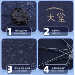 天堂伞 雨伞 三折伞 307E碰