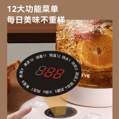 艾贝丽Abereve 多功能养生壶 ABL-YSH39A