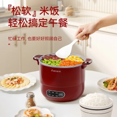 艾贝丽Abereve 多功能微压锅 ABL-WY1249