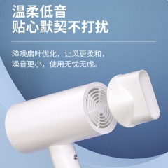 艾贝丽电吹风 ABL-DCF68