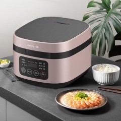 九阳电饭煲 4L F40FY-F330