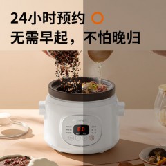 九阳电炖锅 1.5L DG15Z-GD619