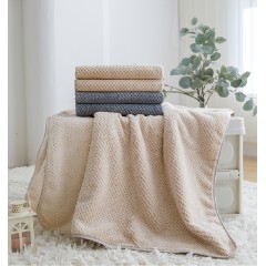 皇冠 酷颜菠萝格毛浴巾套装 （毛巾：35*70cm*2  浴巾：70*140cm*1）T3453