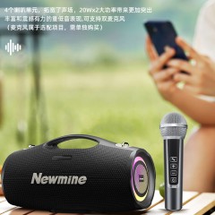 纽曼 户外手提蓝牙音响(支持麦克风) BT101