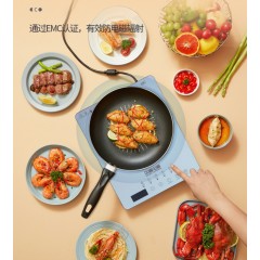 双喜 瑞辰套装电磁炉3.1kg DC-22FM05