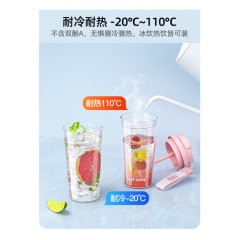 FACE 双饮手提吸管杯 580ml FA-KP58E