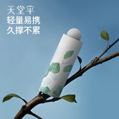 天堂 五折晴雨伞听风 53CM* 6K 57509E