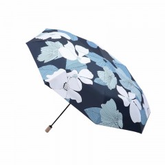 天堂 三折双层晴雨伞菱歌 55CM*8K 38075E