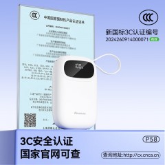 纽曼 10000毫安自带线快充数显移动电源 P58