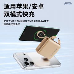 纽曼 10000毫安迷你双线快充移动电源 PM150