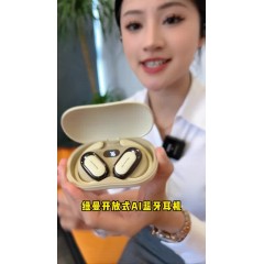 纽曼 耳式OWS蓝牙Ai翻译耳机 M16