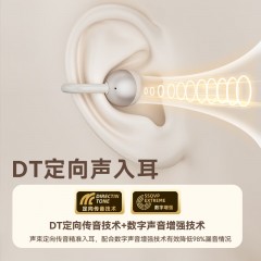 纽曼 夹耳式OWS蓝牙耳机 T29