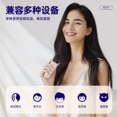 纽曼 K歌蓝牙音响 KS10