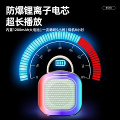 纽曼 K歌蓝牙音响 KS10