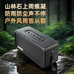 纽曼 便携式蓝牙音响 BT20