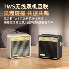 纽曼 便携式蓝牙音响 BT13