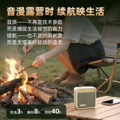 纽曼 便携式蓝牙音响 BT13