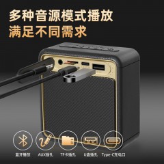 纽曼 便携式蓝牙音响 BT13