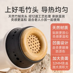 艾修堂 雷火灸1套/盒 AP-S3