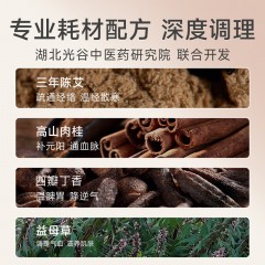 艾修堂 智能艾灸盒 AI-M11