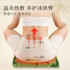 艾修堂 热敷坐垫 420*420mm  AP - CIpro