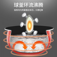 双喜珍帅智能方煲（升级版）4.7L DF-047LDFR01-X