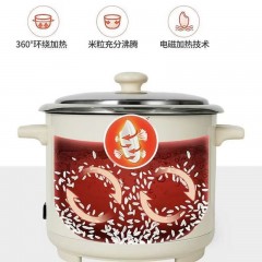 双喜旺家电饭锅 3L DF-030SJYR16